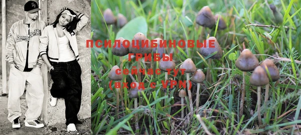 спиды Белокуриха
