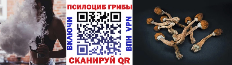 что такое   Семикаракорск  Псилоцибиновые грибы Psilocybine cubensis 